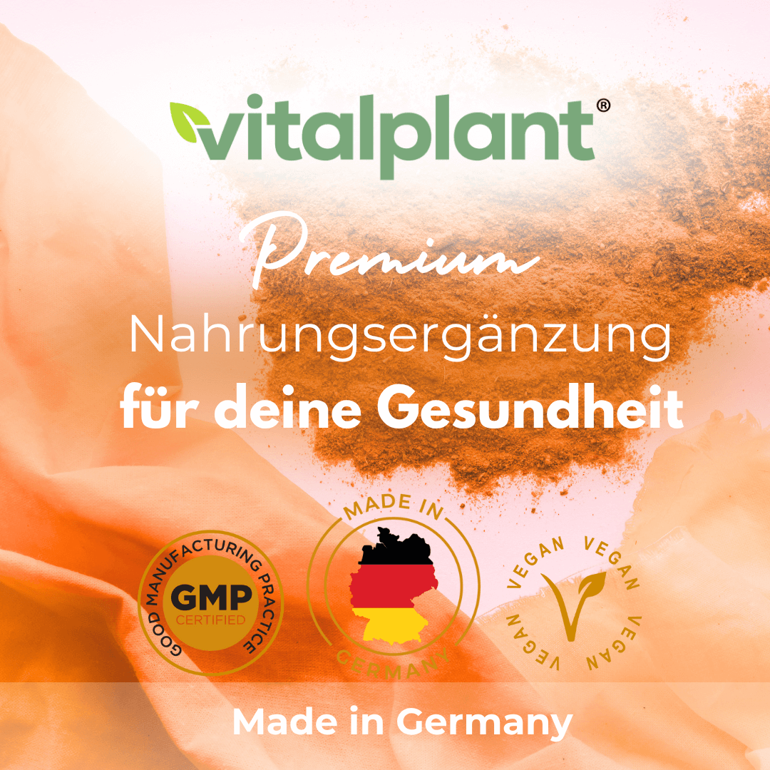 Premium Nahrungsergänzung von Vitalplant für deine Gesundheit, Made in Germany, GMP zertifiziert, vegan.