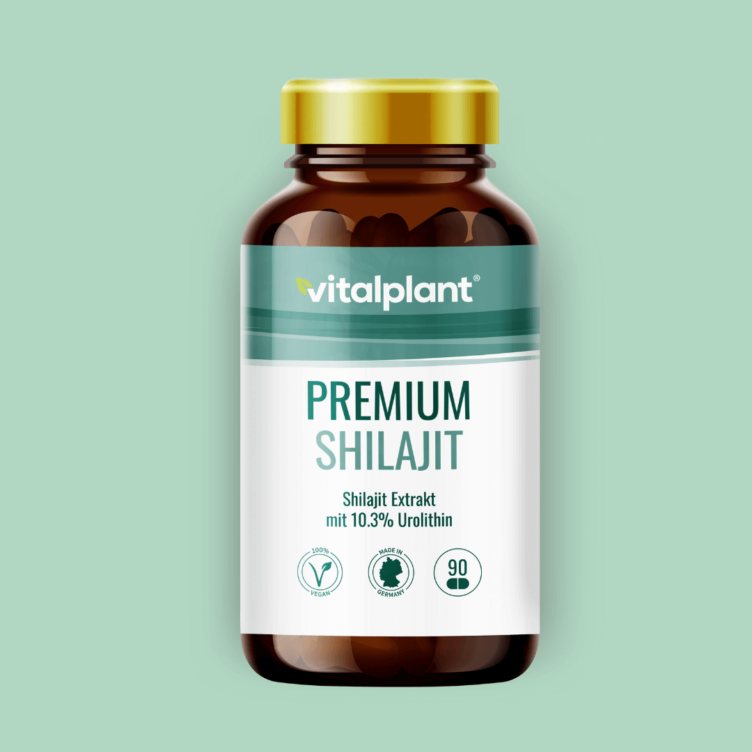 Flasche mit Vitalplant Premium Shilajit Kapseln, 90 Stück, für Körper und Geist, mit Shilajit Extrakt.