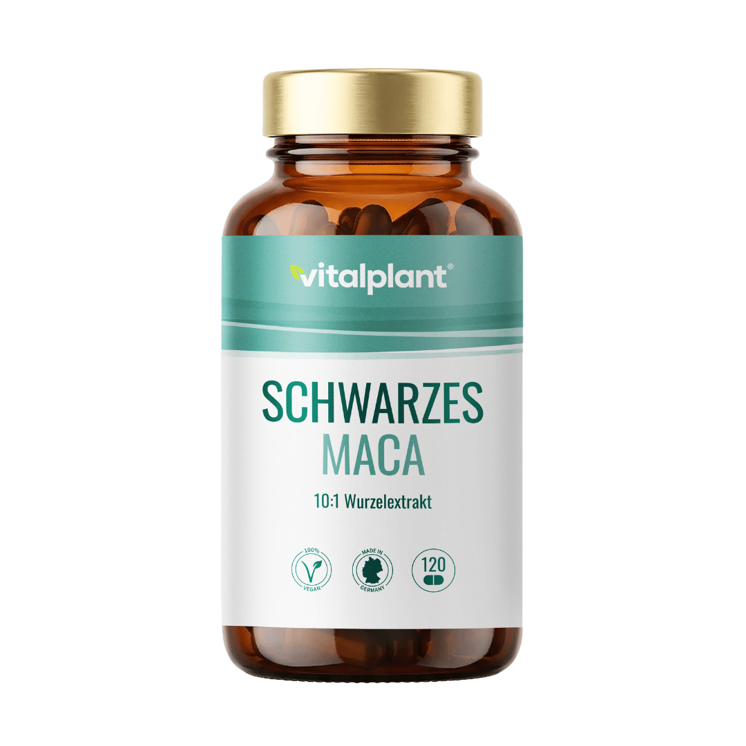 Schwarzes Maca Kapseln von Vitalplant im Glasbehälter mit 120 veganen Kapseln 10:1 Wurzelextrakt.