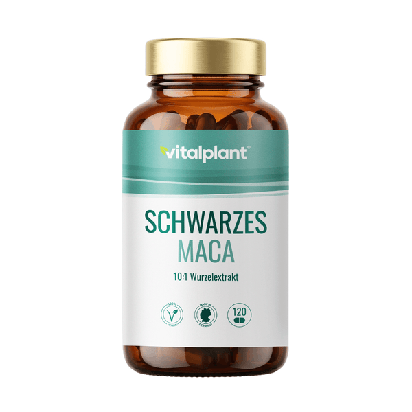 Schwarzes Maca Kapseln von Vitalplant im Glasbehälter mit 120 veganen Kapseln 10:1 Wurzelextrakt.