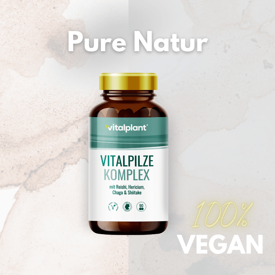 Vitalpilze Komplex Kapseln von Vitalplant mit Reishi, Hericium, Chaga und Shiitake, 100% vegan