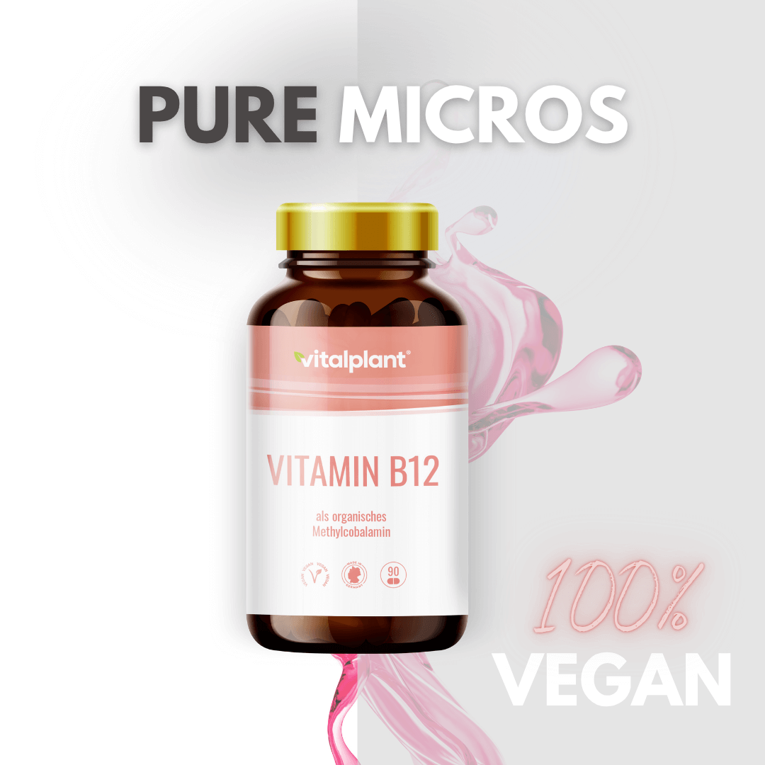 Vitalplant Vitamin B12 Kapseldose mit Methylcobalamin, 100% vegan, reine Mikronährstoffe.