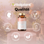 Vitamin C 1000 Kapseln in veganer Qualität aus Deutschland mit hochwertigen Inhaltsstoffen.