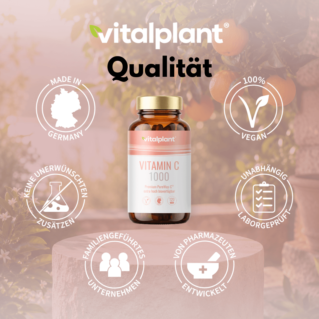 Vitamin C 1000 Kapseln in veganer Qualität aus Deutschland mit hochwertigen Inhaltsstoffen.