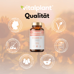 Vitamin D3+ Kapseln von Vitalplant, vegan, made in Germany, hochwertiges Produkt mit Magnesium und K2.