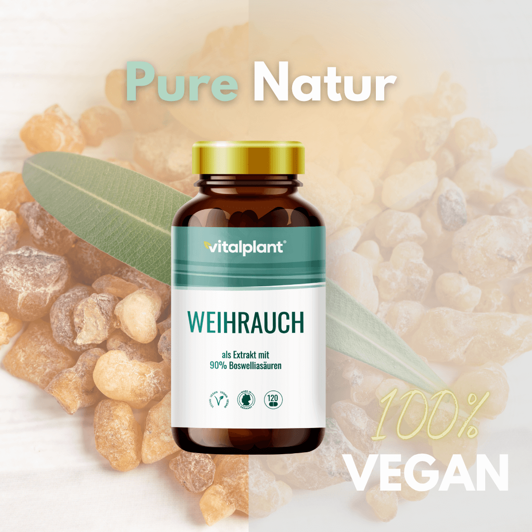 Weihrauch Kapseln Flasche mit 90% Boswelliasäure, 100% vegan, Pure Natur, vitalplant