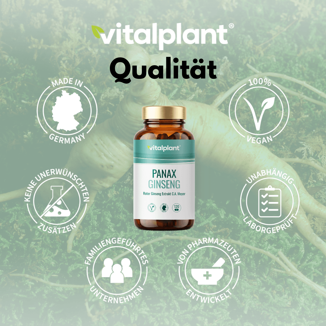 Panax Ginseng Kapseln von Vitalplant in hoher Qualität, vegan und ohne unerwünschte Zusätze, aus Deutschland.