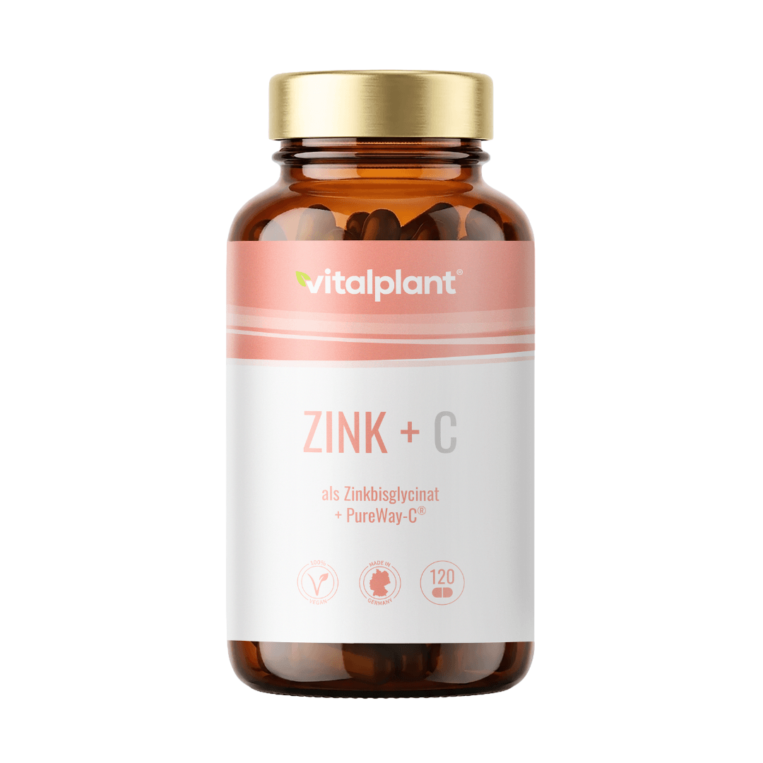 Zink + C Kapseln von Vitalplant in braunem Fläschchen mit goldener Kappe, 120 Stück.