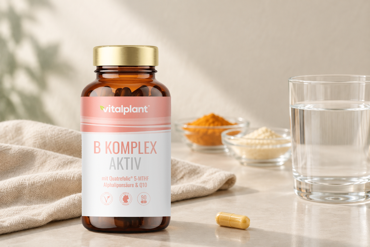 Vitamin B Komplex Aktiv Kapseln - Eine Kapsel mit Q10 und Liponsäure