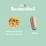 Weihrauch Kapseln mit 600mg Weihrauch Extrakt (Boswellia Serrata) und natürlichen Inhaltsstoffen.