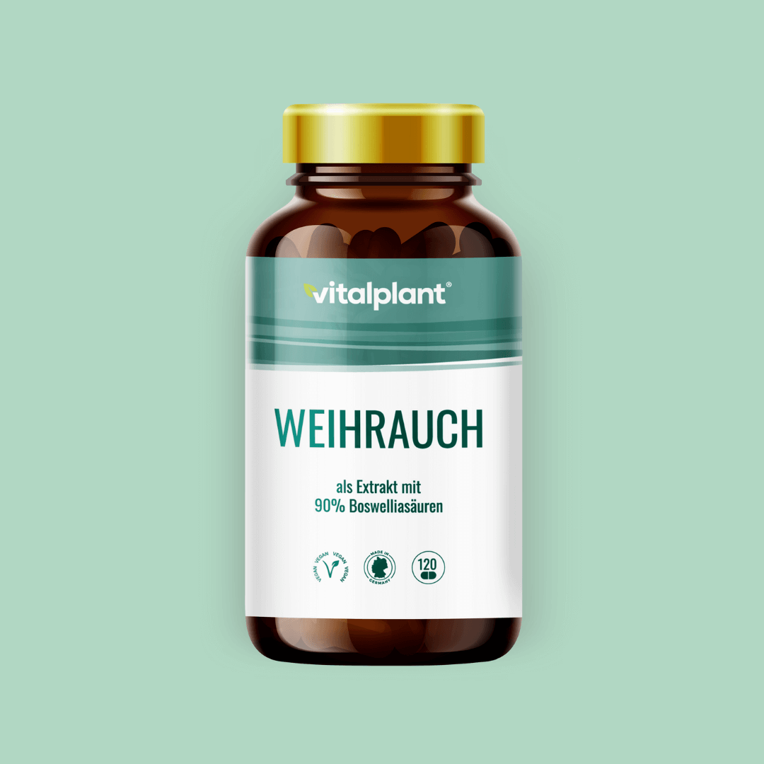 Weihrauch Kapseln als Extrakt mit 90% Boswelliasäuren in der Flasche von Vitalplant