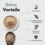 Weihrauch Kapseln Vorteile: Anti Oxidation, Unterstützung des Bewegungsapparats, Flexibilität in Bewegung, Immunmodulation.