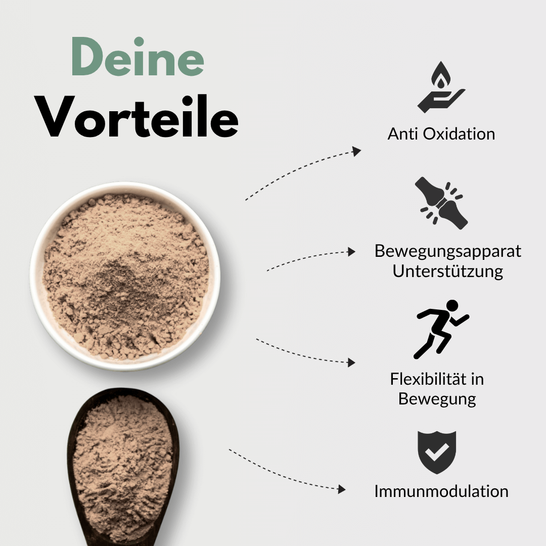 Weihrauch Kapseln Vorteile: Anti Oxidation, Unterstützung des Bewegungsapparats, Flexibilität in Bewegung, Immunmodulation.