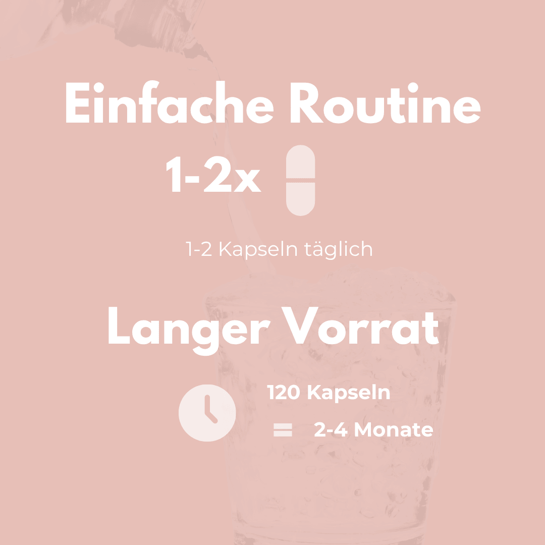 Zink + C Kapseln – einfache Routine für 2-4 Monate mit 120 Kapseln, täglich 1-2 Kapseln.