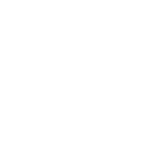 100 % vegan
